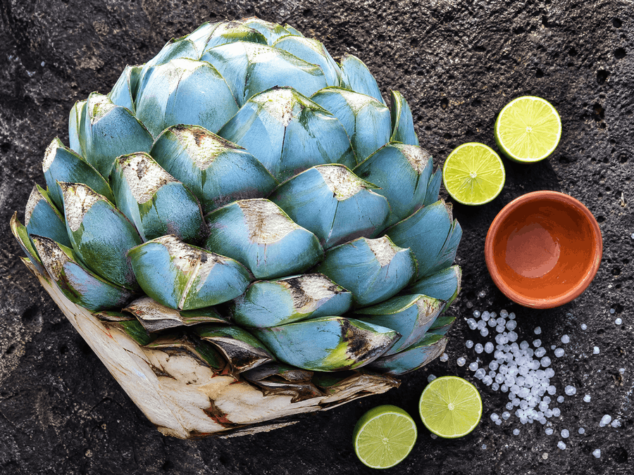 Tequila & Mezcal